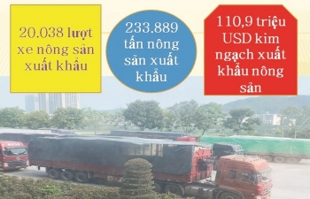 Lào Cai: Giải pháp mới để khơi thông hoạt động xuất nhập khẩu