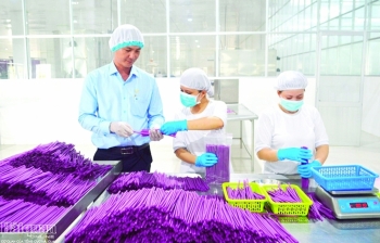 Tiêu dùng xanh: Miền đất hứa của nhiều doanh nghiệp