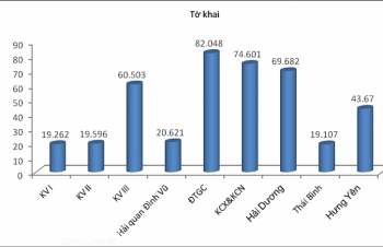 Áp lực về tỷ lệ kiểm tra hồ sơ, kiểm tra thực tế tại cảng Hải Phòng