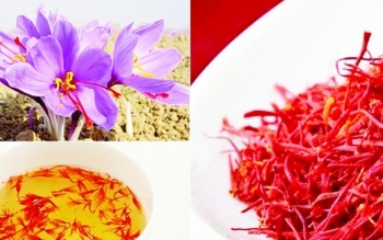 “Vàng đỏ" đến nửa tỷ đồng/kg nhưng... khó phân biệt thật giả