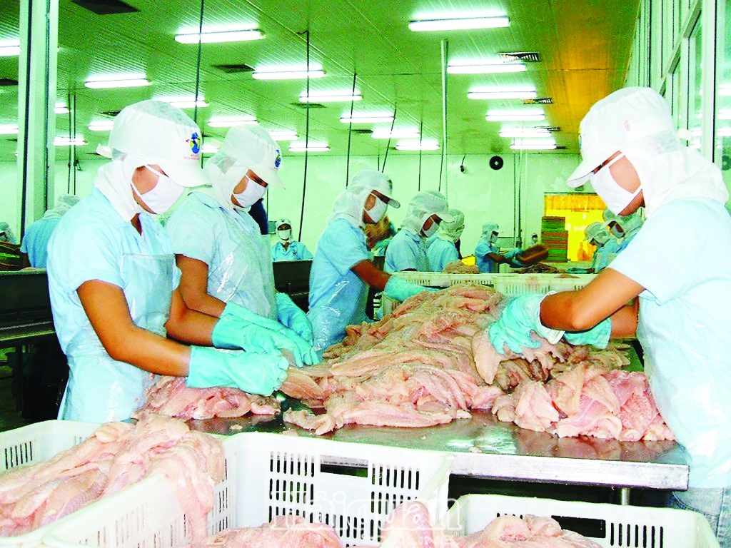 bien dong thi truong xuat khau ca tra kho dat 24 ty usd