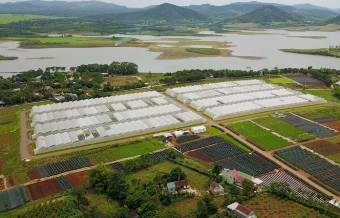 Nông nghiệp công nghệ cao giúp các vùng đất nghèo đơm hoa kết trái