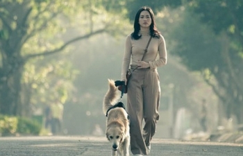 Phim Việt dốc sức cho ngày trở lại