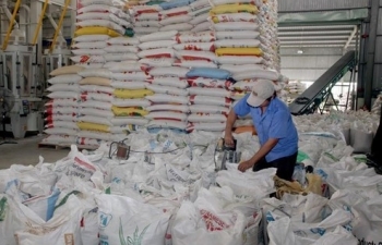 Gạo ST24 của Sóc Trăng được công nhận là gạo ngon nhất thế giới