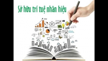 Tiếp nhận 102.337 đơn trong lĩnh vực sở hữu trí tuệ