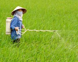 de nghi huong xu ly lo hang thuoc tru con trung nk khong dat chat luong