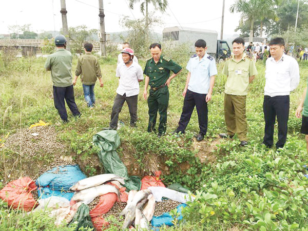 kiem soat chat thuc pham tuoi song khong ro nguon goc
