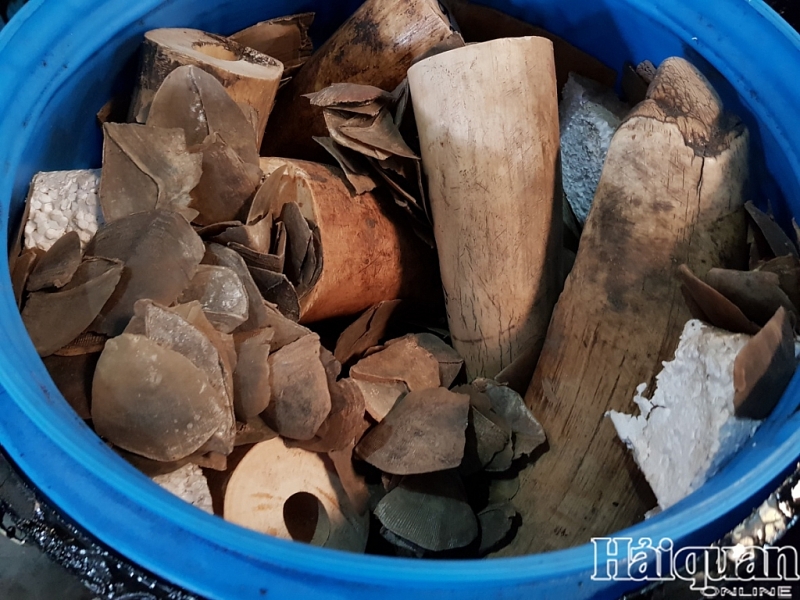 hai quan hai phong phat hien 40 vu vi pham qua soi chieu khi luu giu xep do hang hoa