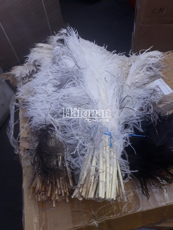 dang kham xet mot container nghi chua hang cam tai cang hai phong
