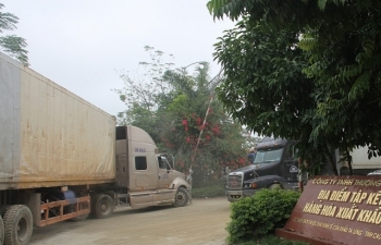414 doanh nghiệp kết nối Hệ thống VASSCM