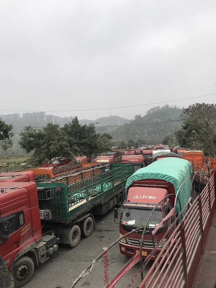 Tăng thời gian mở cửa khẩu Kim Thành, Lào Cai lên 22 giờ để giảm ùn tắc