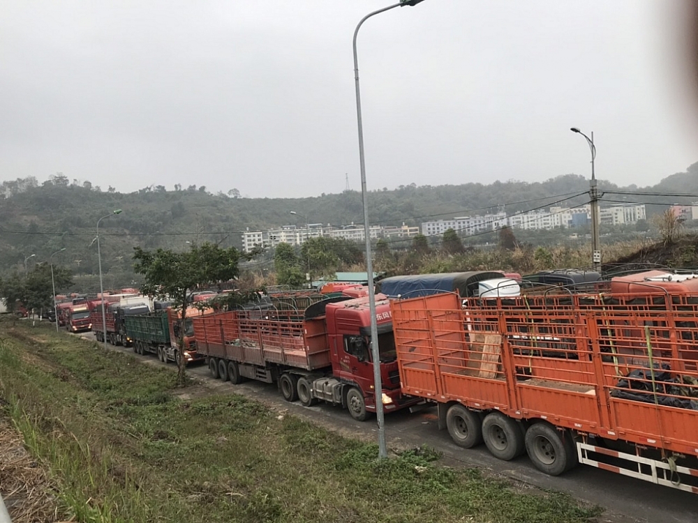 Tăng thời gian mở cửa khẩu Kim Thành, Lào Cai lên 22 giờ để giảm ùn tắc