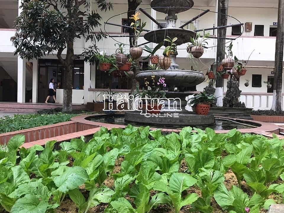 Không khí Tết tại trụ sở Chi cục Hải quan Hải Dương