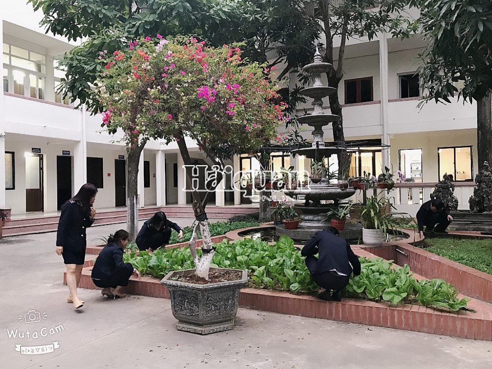 Không khí Tết tại trụ sở Chi cục Hải quan Hải Dương