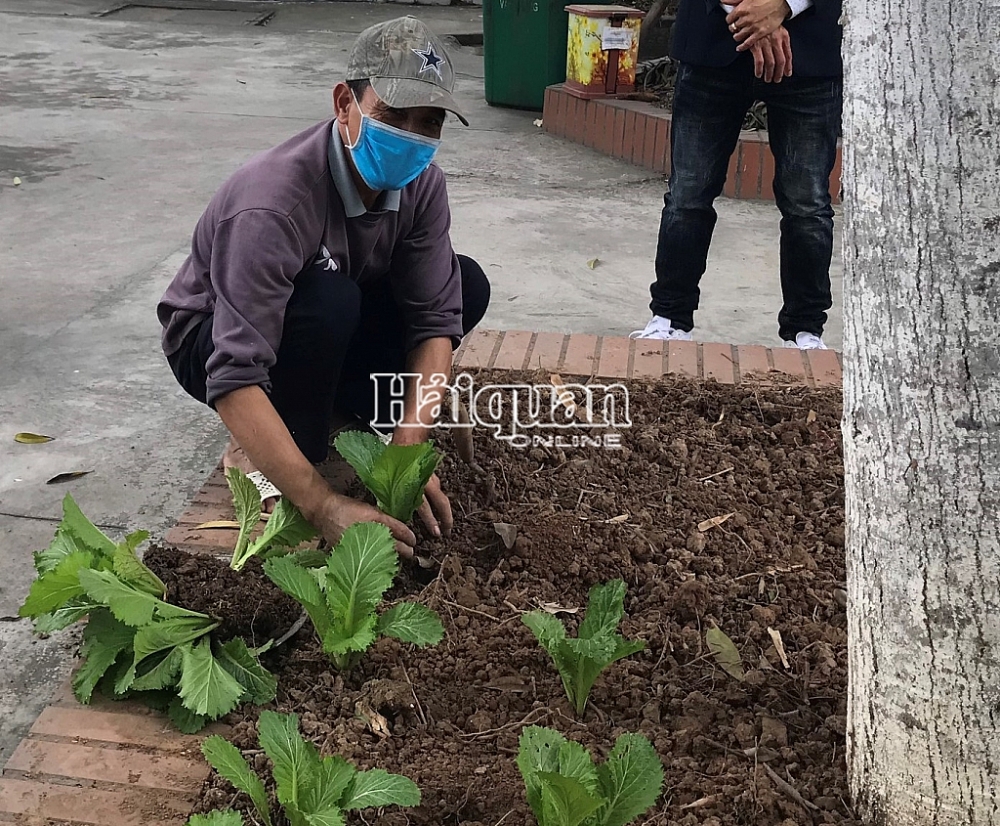Không khí Tết tại trụ sở Chi cục Hải quan Hải Dương
