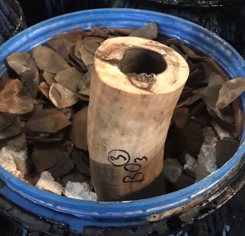 Những chiêu ngụy trang ngà voi tinh vi do Hải quan Hải Phòng phát hiện