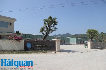 315 doanh nghiệp kết nối Hệ thống quản lý hải quan tự động