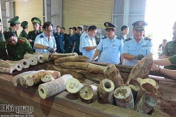 Vụ bắt ngà voi ở Đà Nẵng lớn nhất từ trước đến nay