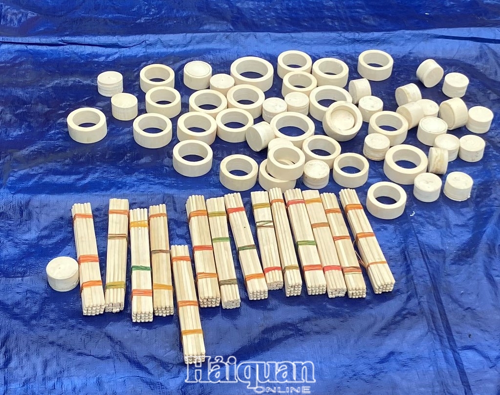 Hình ảnh vụ bắt giữ khoảng 7 tấn ngà voi nhập lậu tại cảng Hải Phòng