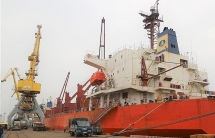 hang chuc o to moi bi bo quen o cang hai phong