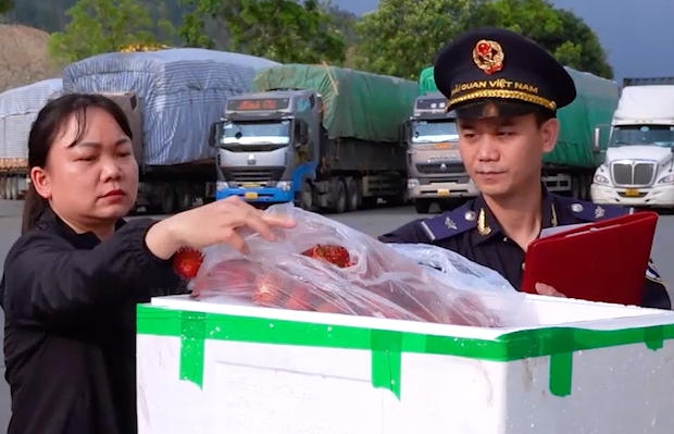 Hải quan cửa khẩu Lào Cai thông quan hơn 10.000 tấn nông sản xuất khẩu dịp nghỉ Lễ