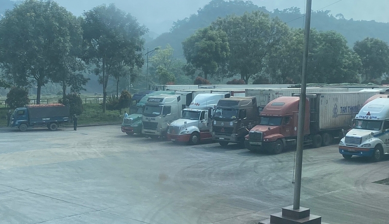 co hien tuong tieu cuc ve dieu tiet xe vao cua khau lao cai ap dung phuong an moi
