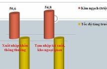 hai quan cong bo thong tin ve thong ke hang tai xuat