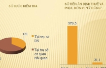 ra soat 185 doanh nghiep tam nhap tai xuat co dau hieu rui ro
