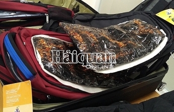 Hải quan đã tham gia bắt giữ hơn 1 tạ ma túy