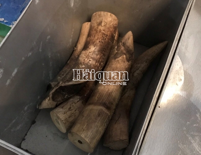 hinh anh cat giau hon 7 tan nga voi vay te te tai hai phong
