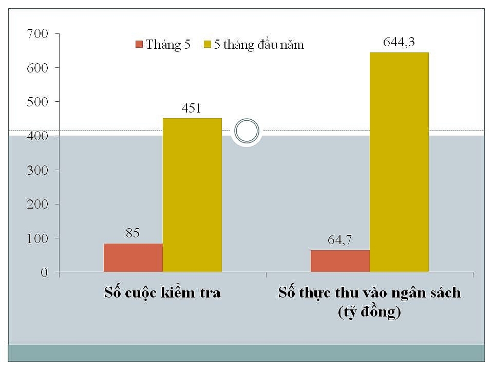 ra soat 185 doanh nghiep tam nhap tai xuat co dau hieu rui ro
