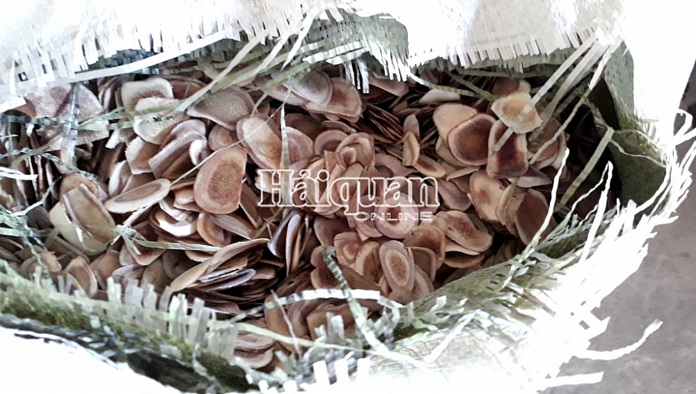 hinh anh lo hang hon 100 tan thao duoc tu trung quoc doi lot nong san