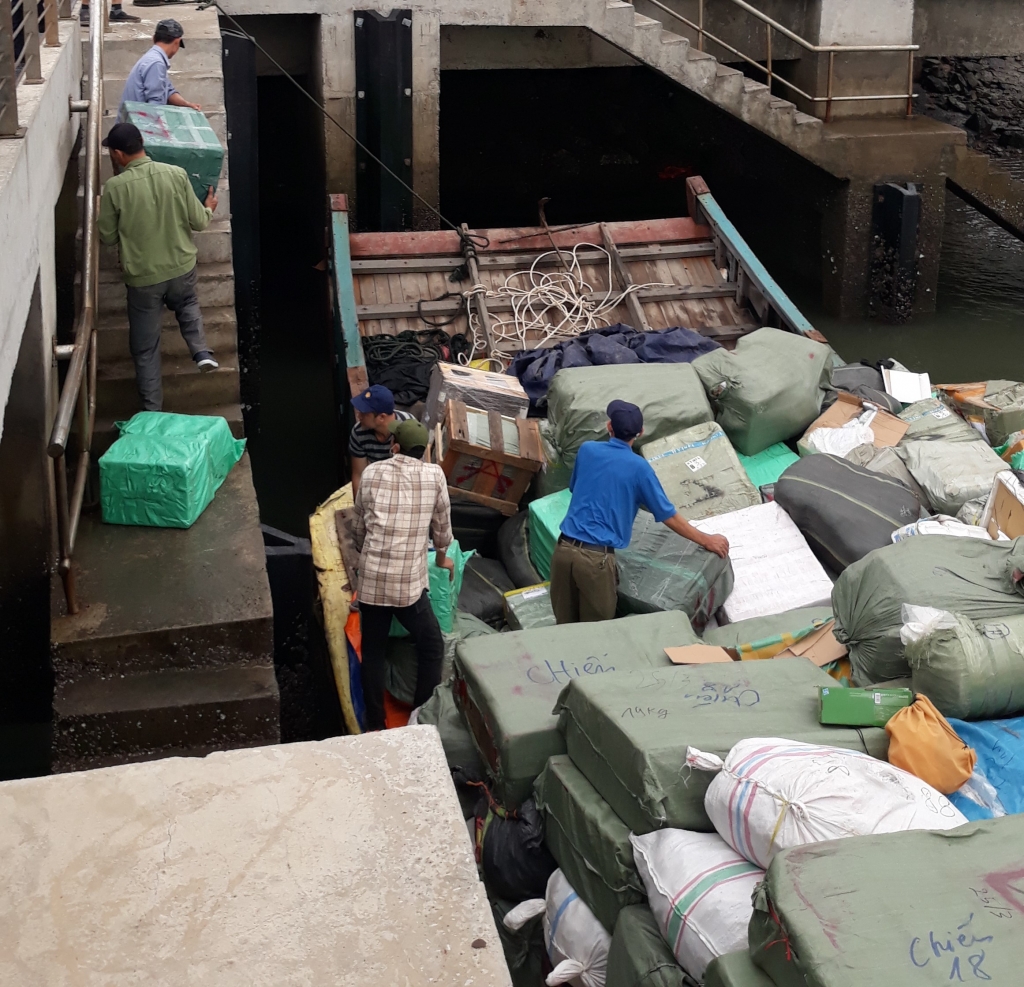 Thu giữ gần 100.000 đơn vị sản phẩm trong vụ 2 tàu gỗ chở hàng lậu