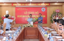 hai quan cao bang hai phong tri an gia dinh chinh sach