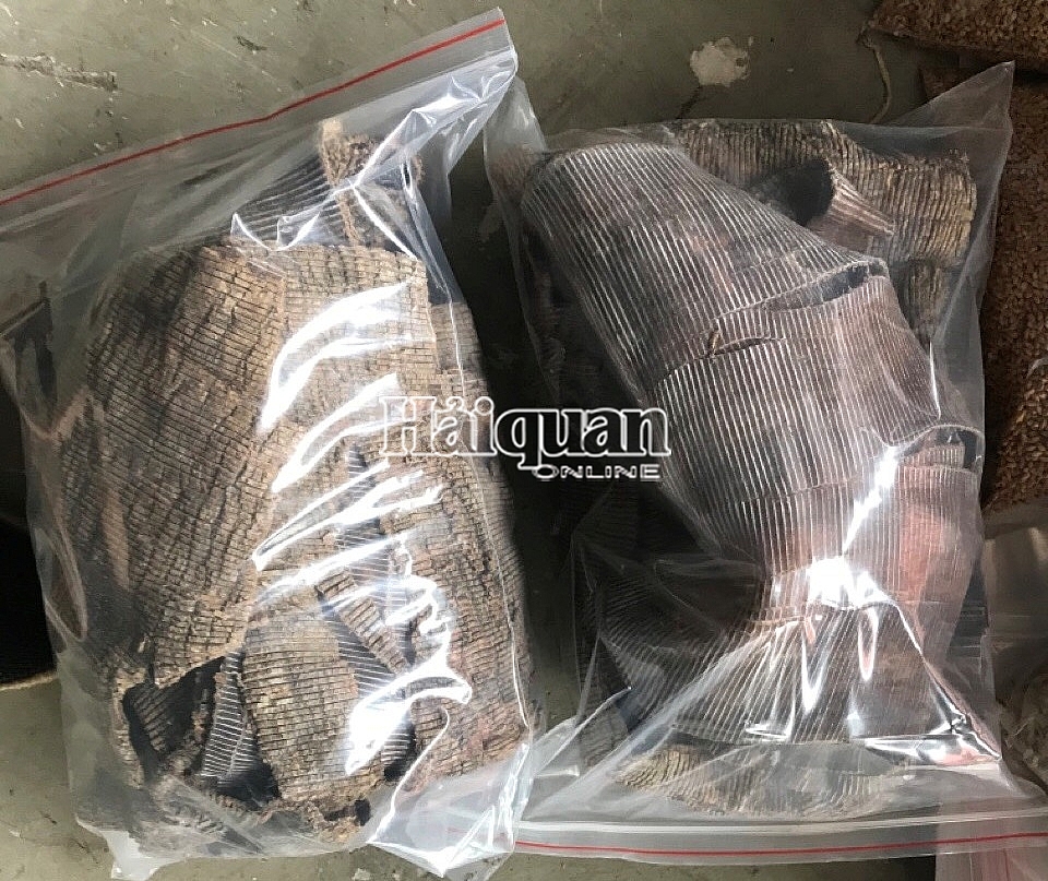 Phát hiện tới 161 loại thảo dược trong 5 container hàng vi phạm tại Đà Nẵng