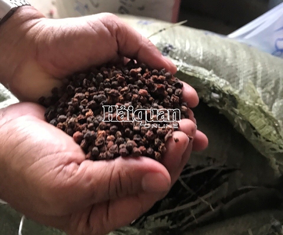Phát hiện tới 161 loại thảo dược trong 5 container hàng vi phạm tại Đà Nẵng