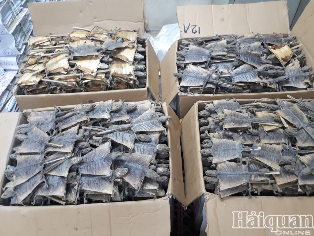 Hình ảnh nửa tấn tắc kè khô nhập khẩu trái phép tại sân bay Nội Bài