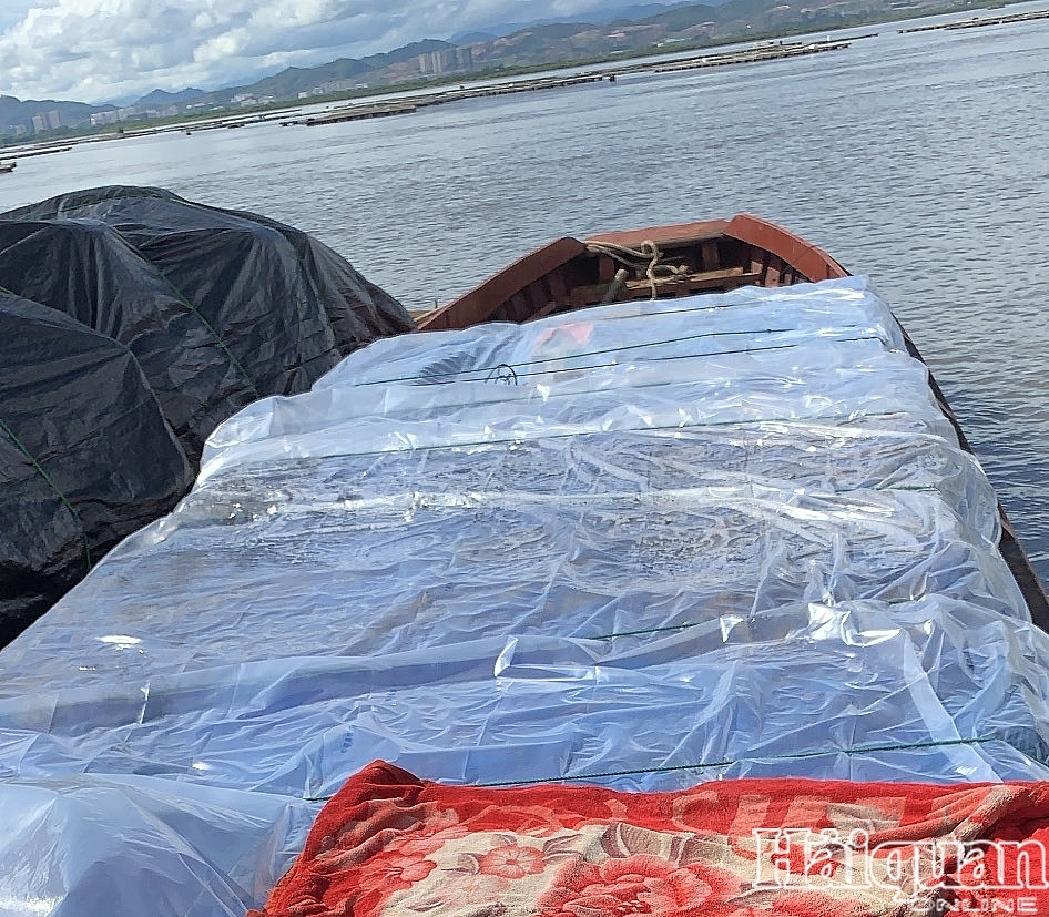 Bắt gần nửa triệu bao thuốc lá ngoại và hàng chục tấn nghi dược liệu tại Móng Cái