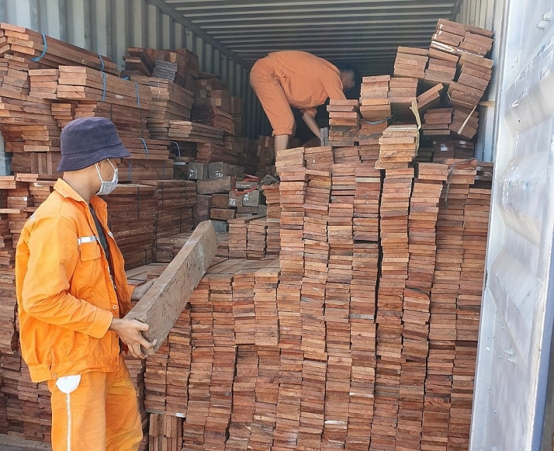 hai quan hai phong bat 3 container go quy nhap khau trai phep