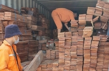 hai quan hai phong tang thu ngan sach hon 15500 ty dong