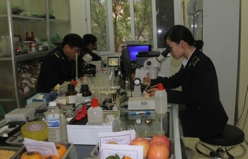 Sắp triển khai một thủ tục của Bộ Nông nghiệp qua NSW