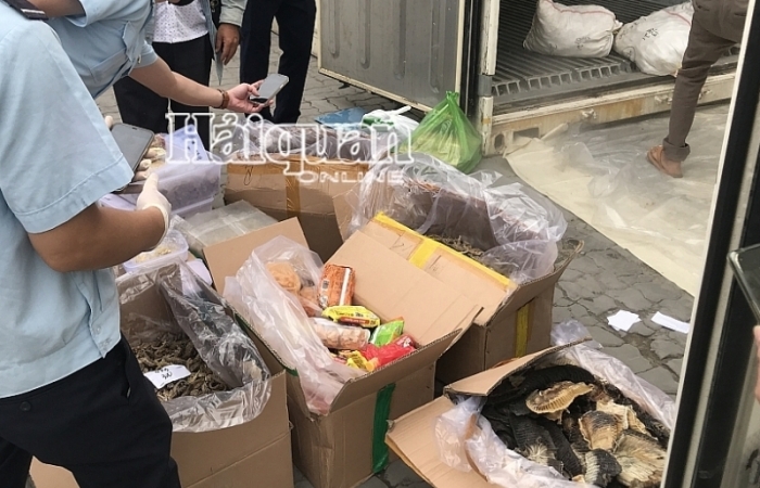 Vụ cá ngựa, tổ yến... nhập lậu trong container sò huyết nhập khẩu tại TPHCM được phát hiện thế nào?