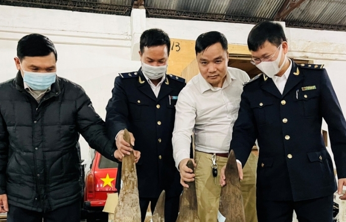 Ngành Hải quan 11 tháng khởi tố và kiến nghị khởi tố 183 vụ vi phạm