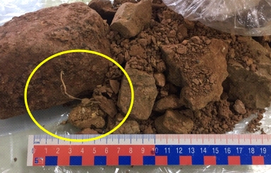 Khởi tố vụ án buôn lậu liên quan đến 44.000 tấn quặng của Công ty Bảo Nguyên