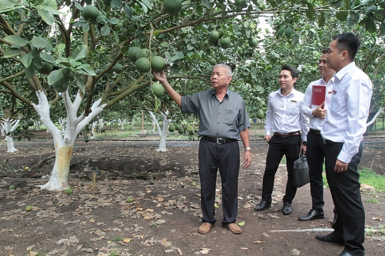 agribank hanh trinh mang dau an tam nong