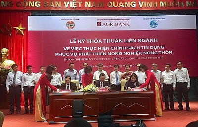 agribank hanh trinh mang dau an tam nong