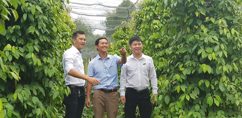 vietinbank hop luc han che tin dung den ta i tay nguyen