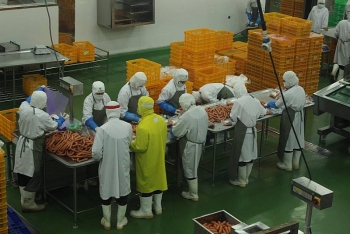 Thủ tướng phê duyệt Kế hoạch thực hiện Hiệp định CPTPP