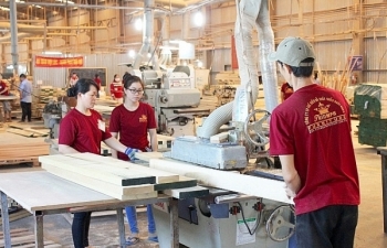 Phát triển bền vững ngành công nghiệp chế biến gỗ phục vụ xuất khẩu