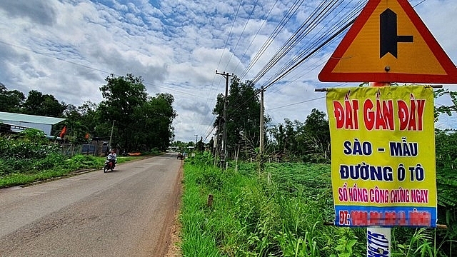 Ảnh minh họa: Internet